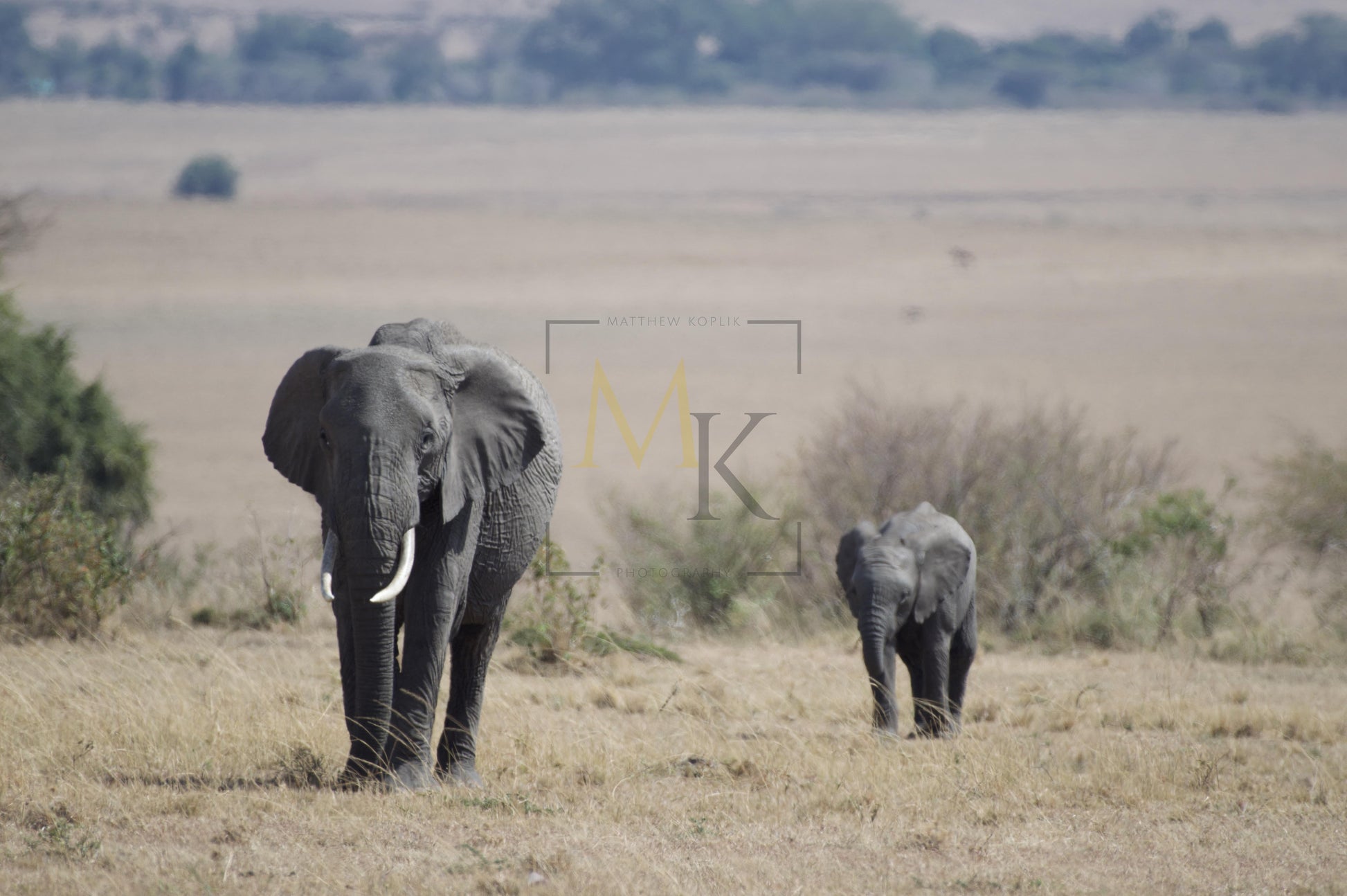 Mother and Baby Elephant Maasi Mara