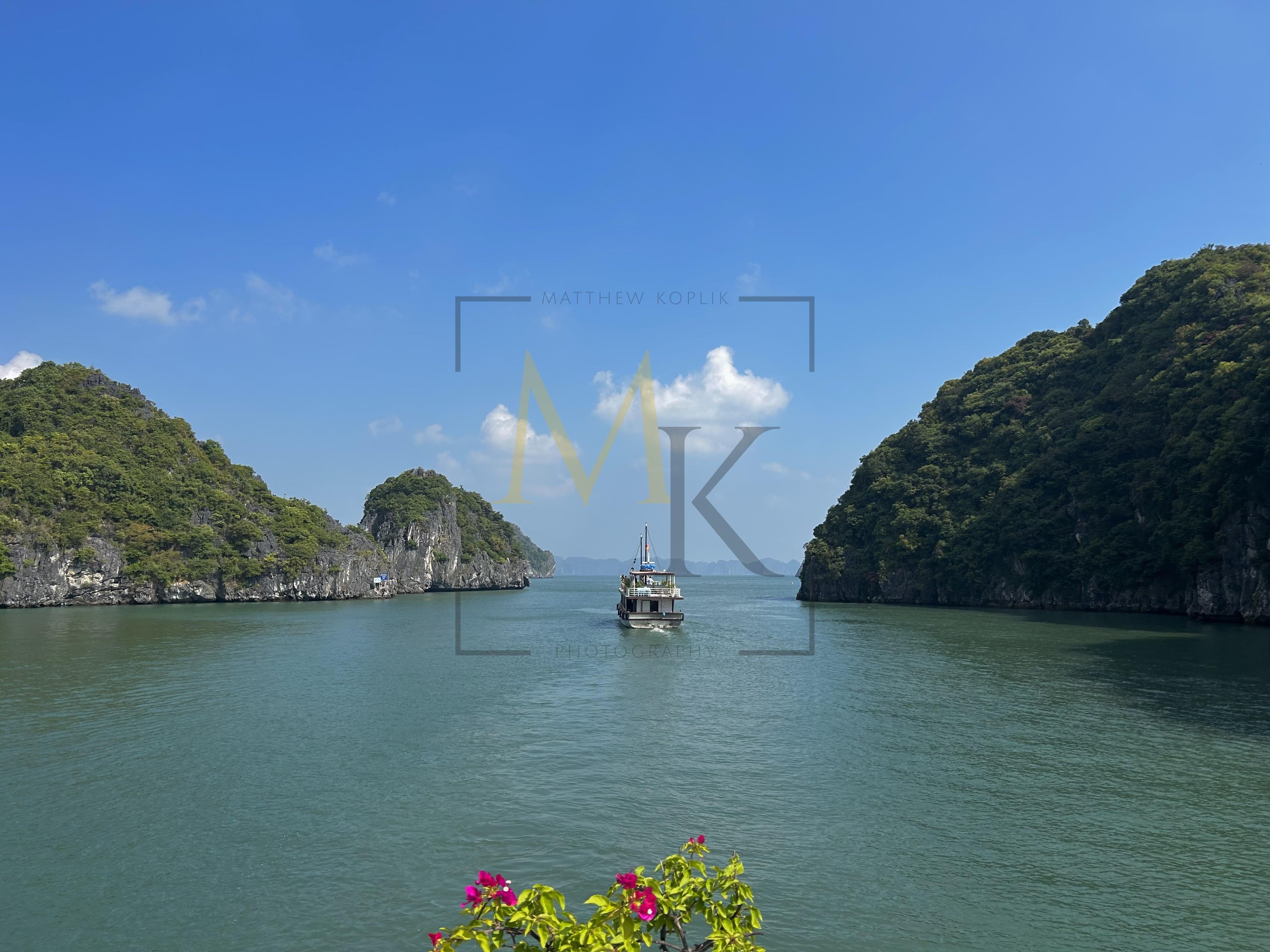 Vietnam 🇻🇳