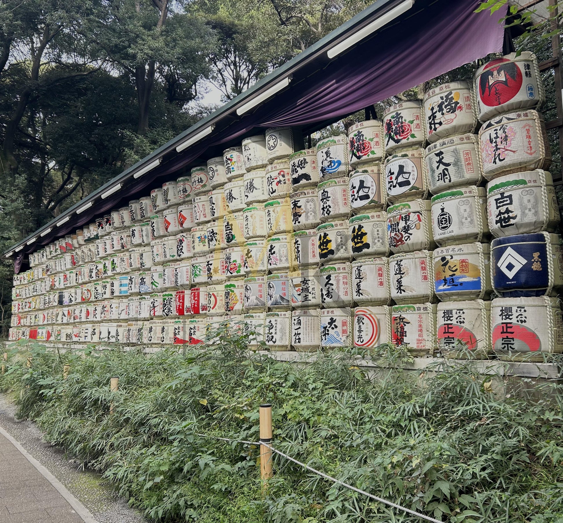 Sake Barrels