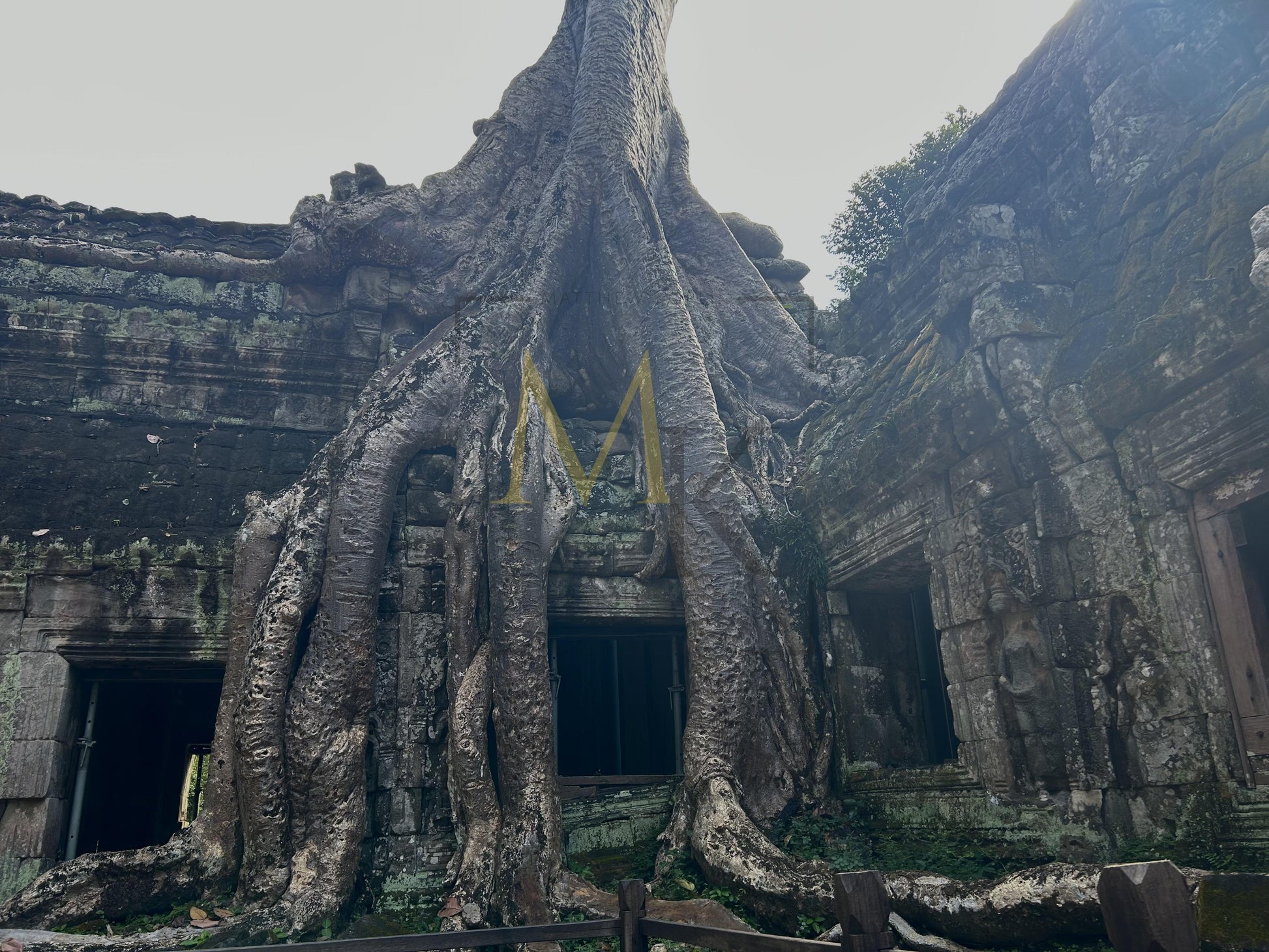 Tree Overgrowing Temple
